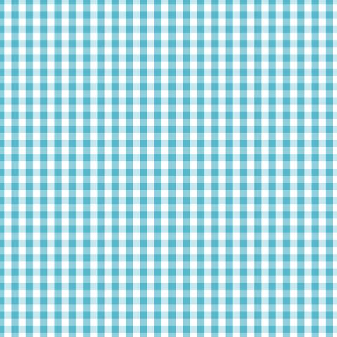 FUNDAMENTALS CHECK BARRIER BLUE