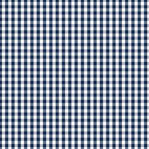 FUNDAMENTALS CHECK GAMBIER BLUE