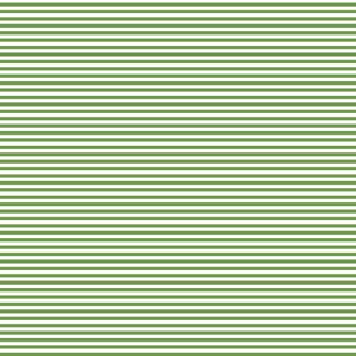 FUNDAMENTALS 1/8 STRIPE CROCODILE