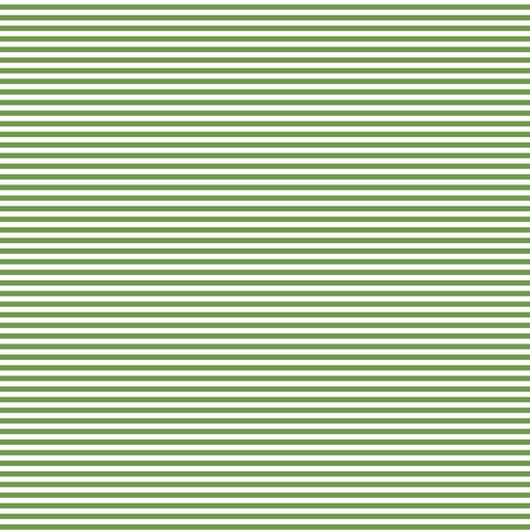 FUNDAMENTALS 1/8 STRIPE CROCODILE