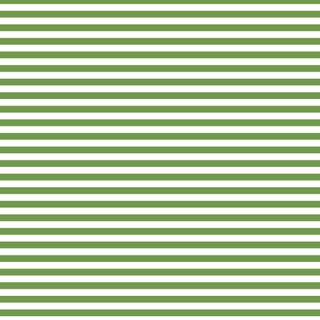 FUNDAMENTALS 1/4 STRIPE CROCODILE