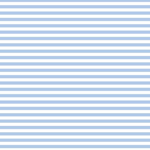 FUNDAMENTALS 1/4 STRIPE PARTLY CLOUDY