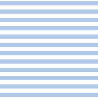 #FUNDAMENTALS 1/2 STRIPE PARTLY CLOUDY