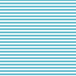 FUNDAMENTALS 1/4 STRIPE BARRIER BLUE