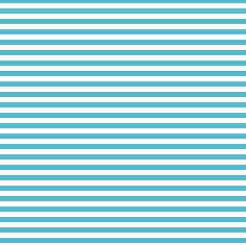 FUNDAMENTALS 1/4 STRIPE BARRIER BLUE