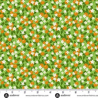 FLORAL STATES OF AMERICA