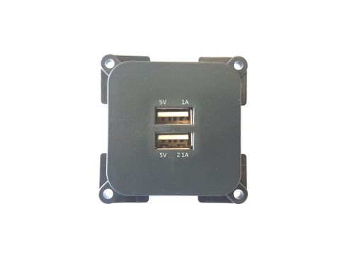 C-Line Twin USB Socket