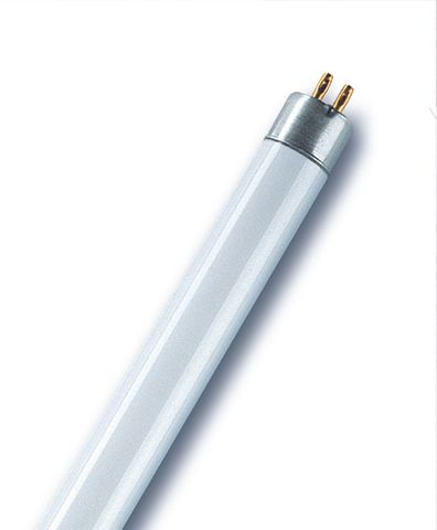 NL-T5 8w 385lm 288mm Fluorescent Tube Cool White