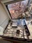 1997 Avondale Orestes (With Rear Kitchen)
