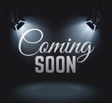 2008 Bailey Senator Vermont