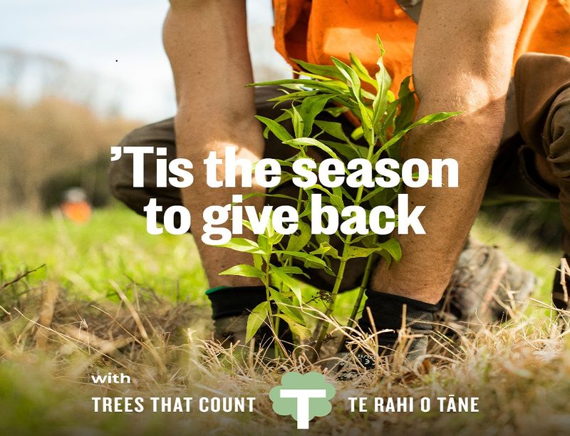 Helping Hands: More trees in our own back yards