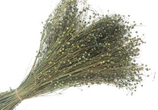 Lino Grass Teal 60cm long 150g