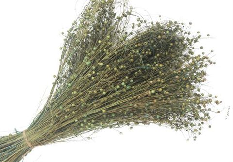 Lino Grass Teal 60cm long 150g