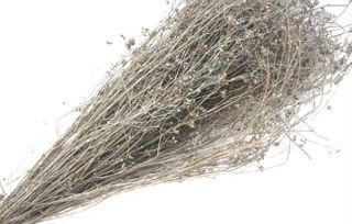 Parsi Grass Washed White 60cm long 150g