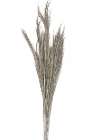 Chinese Broom Natural 100cm  200g