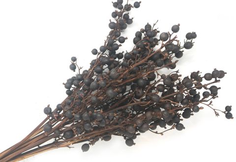 Black Berry Light Brown 60cm long10 pcs