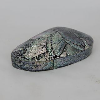 Paua Pipi Box Approx 22cm x 12cm