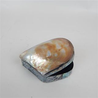Bronze Shell Box 8cm x 5cm