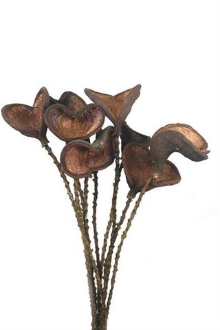 Badam Nut on Twig Stem 60cm 10pcs