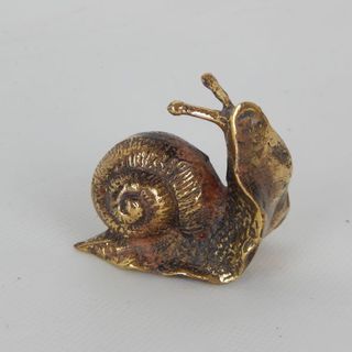 Brass Snail  Extra Small 6cm x 4cm high