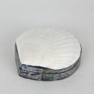 Scallop Shell Box White 12cm dia