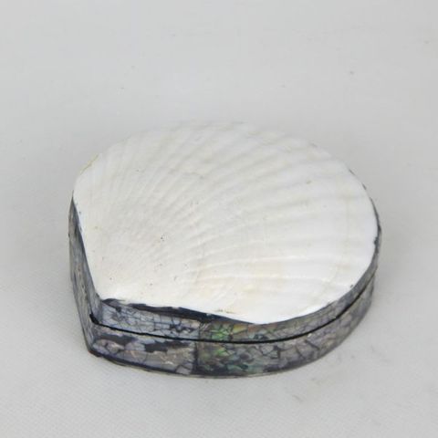 Scallop Shell Box White 12cm dia