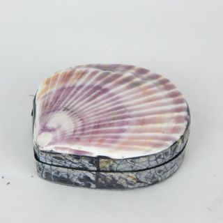 Scallop Shell Box Purple 12cm dia