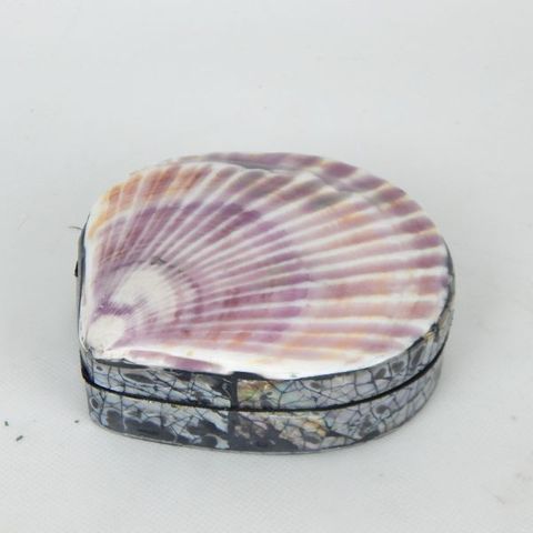 Scallop Shell Box Purple 12cm dia