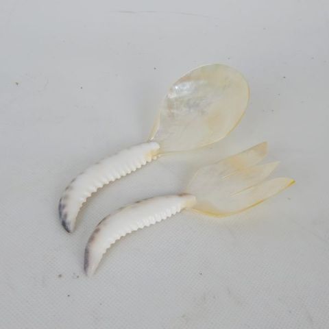 Cowrie Crab Mini Servers 5cm x 11cm long DUE JUNE