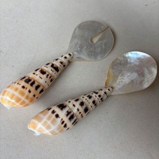 Cowrie Shell Servers Small 7cm x 20cm long DUE JUNE