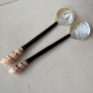 Cowrie Shell Servers Large 7cm x 30cm long DUE JUNE