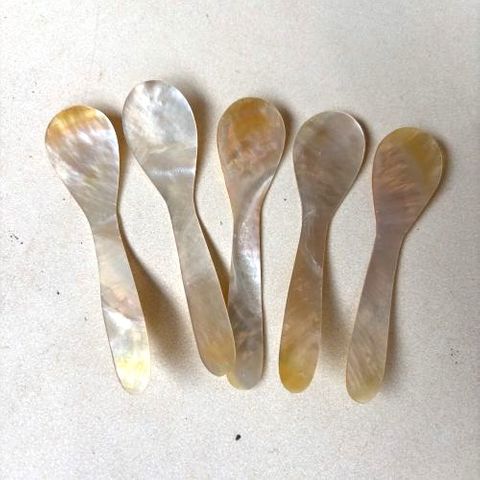Shell Teaspoons s/5 12cm long DUE JUNE