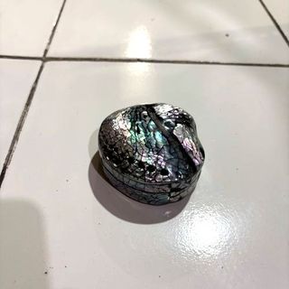 Paua Trinket Box Small 7cm dia DUE LATE MARCH