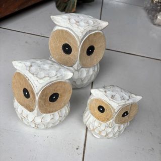 Large Owls s/3 Whitewash 9x10cm / 10x13cm / 11x17cm DUE JUNE