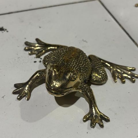 Brass Frog 15cm wide x 10cm high