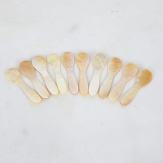 Shell  Tiny Spoons s/10 6cm long