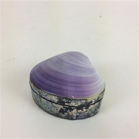 Purple Shell Box Approx 8cm