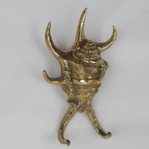 Brass Spider Shell  2 Hook 8cm x 13cm high