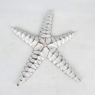 Large Starfish Whitewash 28cm x 30cm