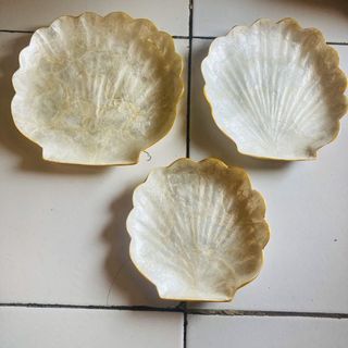 Shell Scallop Trinket Dishes s/3 13x11/15x13/17x15cm AUG DELIVERY