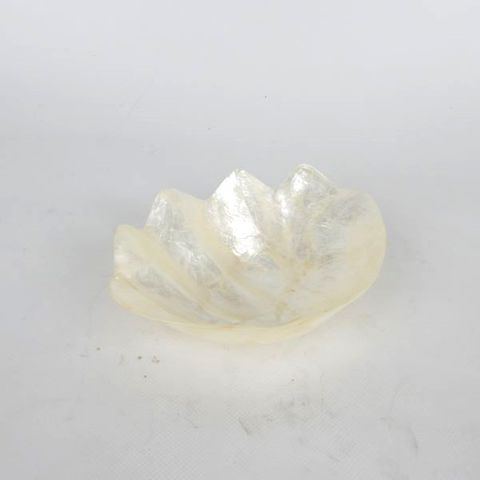 Shell Clam Dish Small 13cm x 10cm