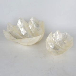 Shell Clam Dishes s/2 20x13/25x20cm high