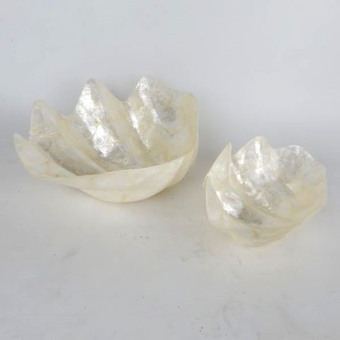 Shell Clam Dishes s/2 20x13/25x20cm high
