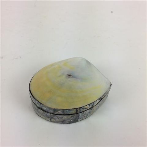 Golden Shell Box Approx 6cm