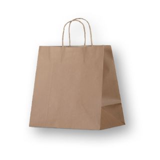 BAG TWIST HANDLE PAPER CARRY MED 250/CTN