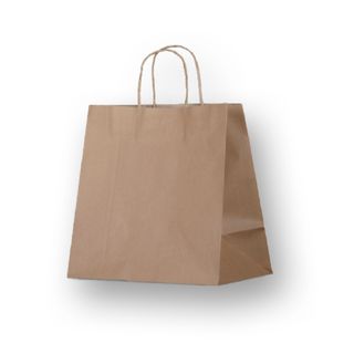 BAG TWIST HANDLE PAPER CARRY SML 250/CTN