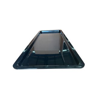 TRAY 30X12X1 BLK PLAS DISP (767x317x29)