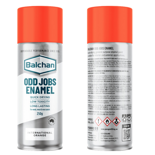 Paint Aerosol Int Orange 250G- Odd Jobs