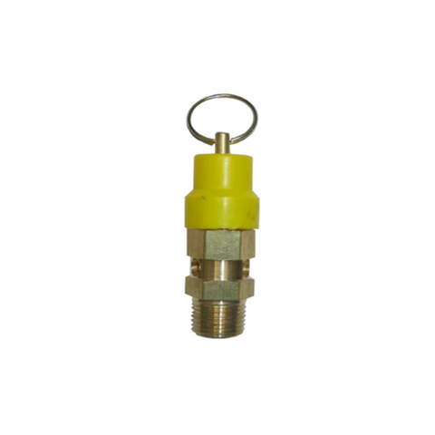 106SV Press Relief Valve1/4 BSP 120Psi