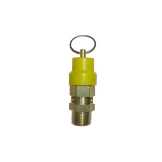 106SV Press Relief Valve1/4 BSP 120Psi